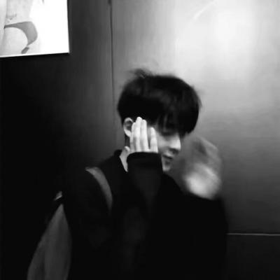 兽设萌新入门指南福瑞群